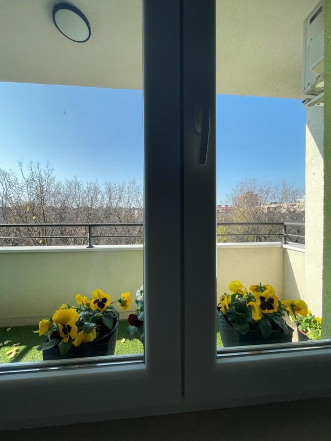 Sunny Studio Daire Novi Sad Dış mekan fotoğraf